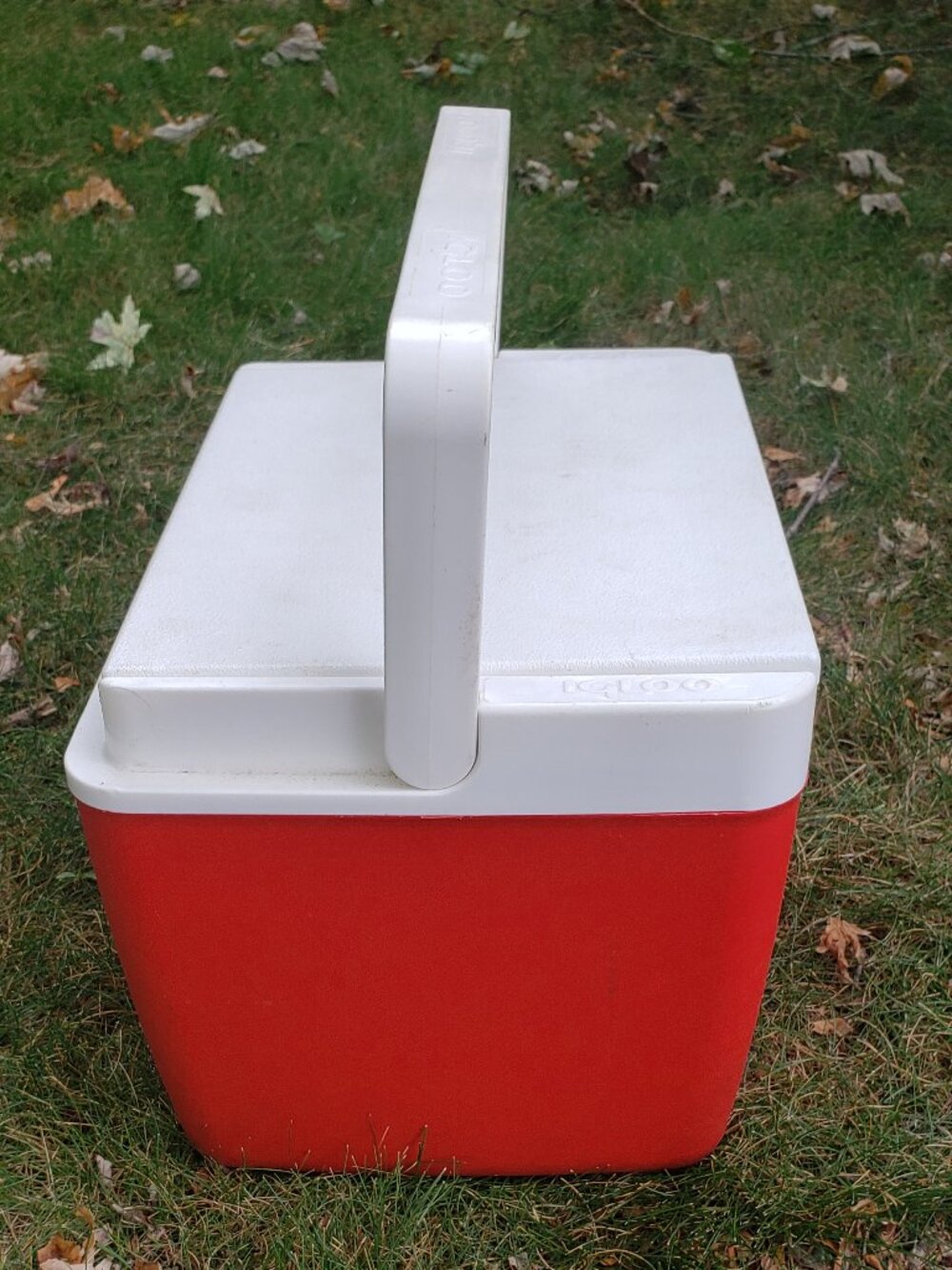 IGLOO LEGEND COOLER